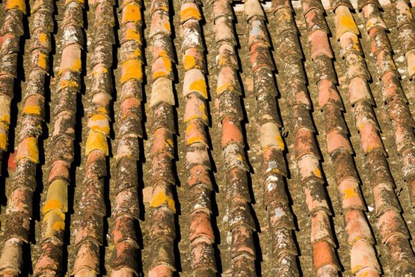 Manutenção doméstica: cuidados simples que evitam gastos altos no futuro