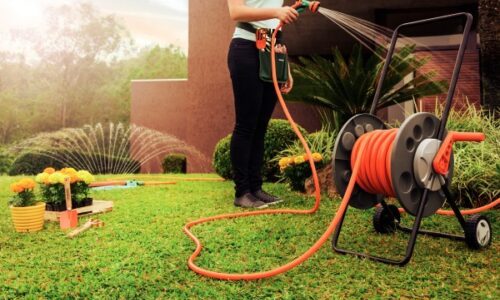 Sim, Você Deve Fazer a Limpeza de Primavera nas Plantas de Casa – Aprenda em 3 Passos Simples